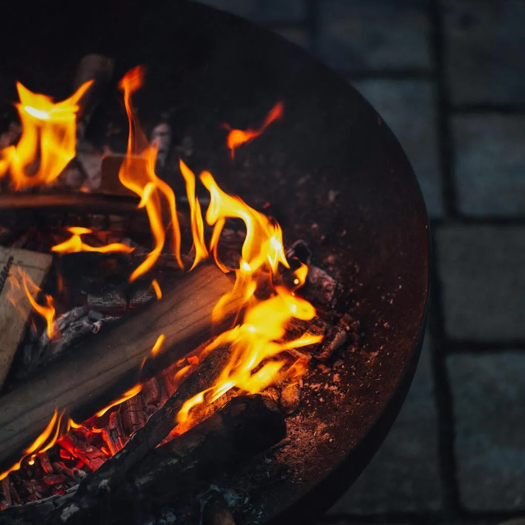 Waarom berkenhout de beste keuze is voor brandhout in Amsterdam